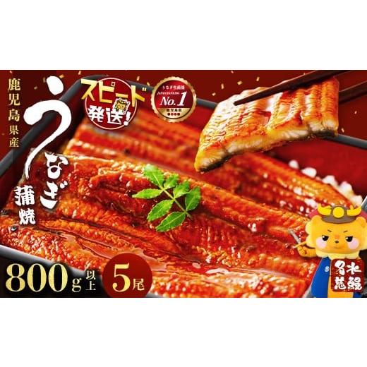 ふるさと納税 うなぎ 鹿児島県 志布志市  志布志市制20周年記念 数量限定 国産うなぎ蒲焼名水慈鰻...