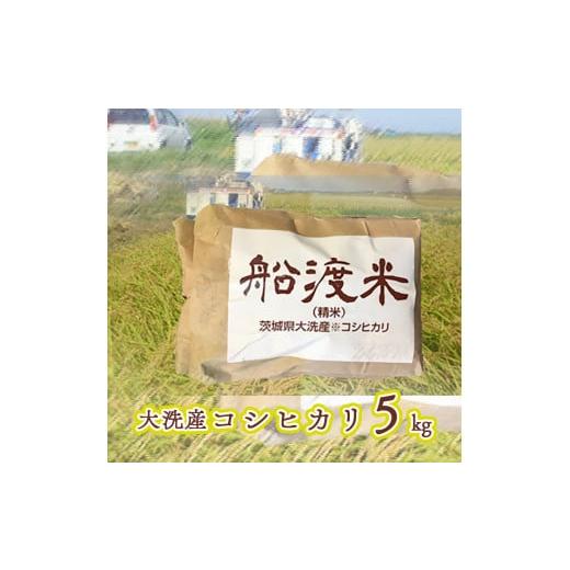 ふるさと納税 米 コシヒカリ 茨城県 大洗町 令和7年産 米 コシヒカリ 5kg 舟渡米 茨城 大洗...