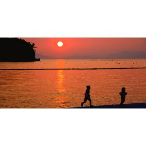ふるさと納税 のり・海藻 わかめ 大阪府 岬町...の詳細画像5