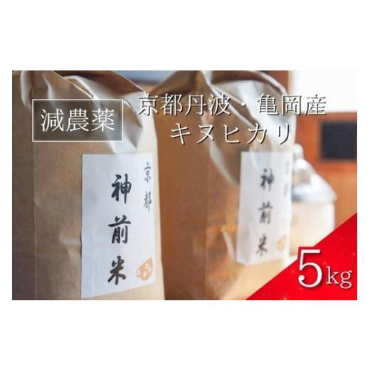 ふるさと納税 米 京都府 亀岡市  令和7年産 新米 先行予約 5kg 京都・神前米 キヌヒカリ 精...
