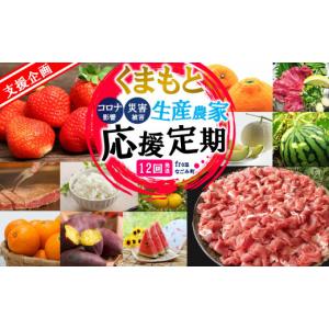ふるさと納税 果物類 熊本県 和水町 定期便 12回 支援 企画 くまもと 生産 農家 応援 定期便 いちご スイートスプリング 八朔 不知火 馬刺し 小玉 スイカ メ…