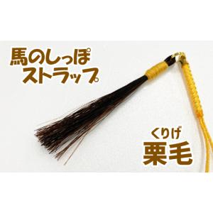 ふるさと納税 岩手県 滝沢市 蹄鉄（鉄製・シルバー）×ストラップ（栗毛） ／ 馬毛 本物 尻尾 インテリア ストラップ　栗毛