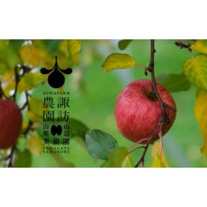 ふるさと納税 りんご 山形県 山辺町 《先行予...の詳細画像5