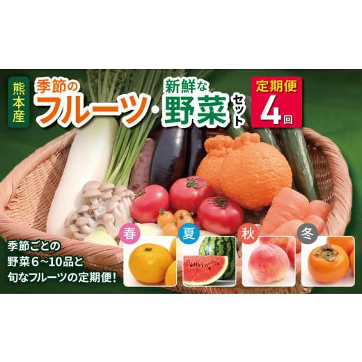 ふるさと納税 果物の詰合せ 熊本県 和水町  定期便4回 春夏秋冬 季節の新鮮フルーツ・野菜セット(...