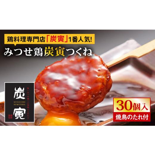 ふるさと納税 佐賀県 吉野ヶ里町 お店でダントツ人気のこだわりつくね！【鶏料理専門店で１番人気】みつ...