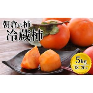 ふるさと納税 果物類 柿 福岡県 朝倉市 冷蔵柿（5kg） 筑前あさくら農協 配送不可：離島｜ふるさとチョイス