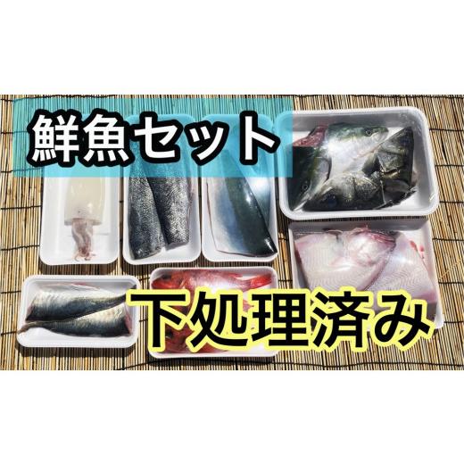ふるさと納税 鳥取県 大山町 OM-39　みくりや季節の鮮魚セット（下処理済み）