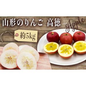 ふるさと納税 りんご 山形県 長井市 2026年発送 山形のりんご（高徳）約5kg_H119(R8)