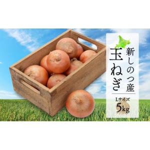 ふるさと納税 野菜類 玉ねぎ 北海道 新篠津村 北海道 新しのつ産 玉ねぎ Lサイズ 約5kg オホーツク222 北もみじ2000 玉葱 たまねぎ タマネギ オニオン 旬 農作…