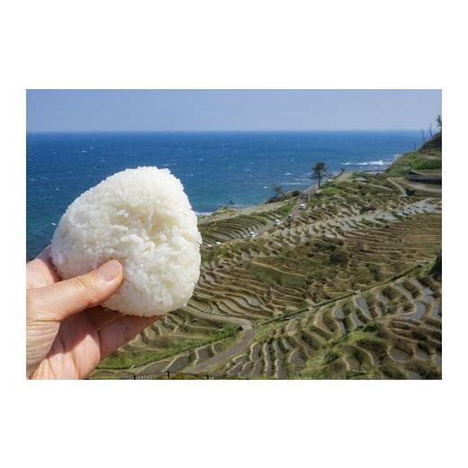 ふるさと納税 石川県 輪島市 【希少コシヒカリ】白米千枚田の『絶景米』10kg（ハザ天日干し）