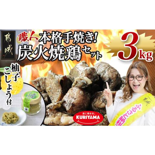 ふるさと納税 鶏肉 焼き鳥 宮崎県 都城市 本格手焼き 炭火焼鶏3kg(ゆずこしょう付)_MJ-14...