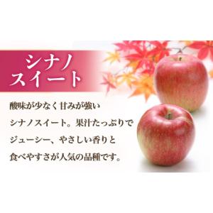 ふるさと納税 りんご 長野県 豊丘村 2026...の詳細画像2