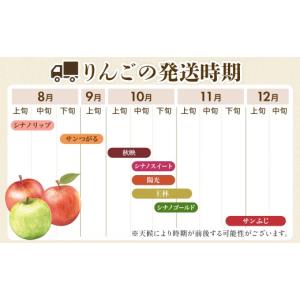 ふるさと納税 りんご 長野県 豊丘村 2026...の詳細画像3
