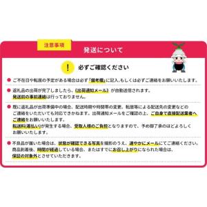 ふるさと納税 食器・グラス 皿 福岡県 東峰村...の詳細画像4