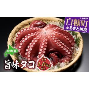 ふるさと納税 【先行受付】かすみがうら市産 生栗 2Lサイズ 3kg ふるさと納税 【先行受付】かすみがうら市産 生栗 2Lサイズ 3kg