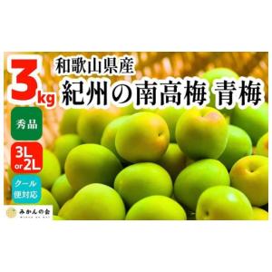 ふるさと納税 和歌山県 有田川町 【2024年6月上旬出荷】青梅 南高梅 3kg 秀品 3Lまたは2Lサイズ 和歌山県産 A品 梅酒作り用 梅ジュース作り用｜ふるさとチョイス