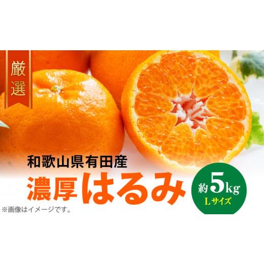ふるさと納税 果物類 みかん 和歌山県 湯浅町 AB6047n_ 2026年先行予約 和歌山有田の濃...