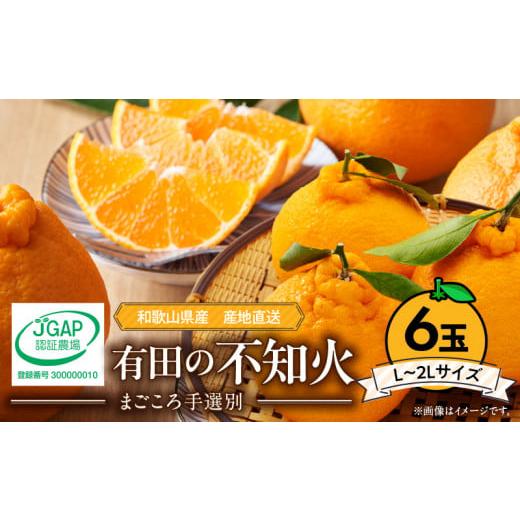 ふるさと納税 みかん・柑橘類 デコポン 和歌山県 湯浅町 ZE6110n_ 2026年先行予約 有田...