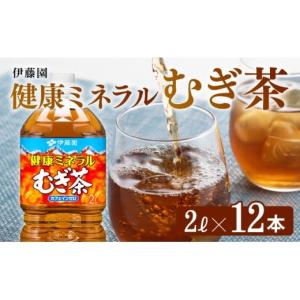 ふるさと納税 お茶類 宮崎県 川南町 健康ミネ...の詳細画像1