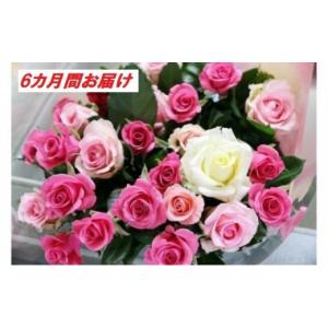 ふるさと納税 花・苗木 花束 埼玉県 白岡市 20本×6カ月 生産者直送　有機栽培で育った朝切りバラの花束　花の定期便　 11246-0076
