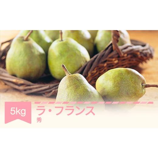 ふるさと納税 梨 山形県 村山市  先行予約 ラ・フランス 洋梨 ラフランス 5kg 秀品 令和7年...