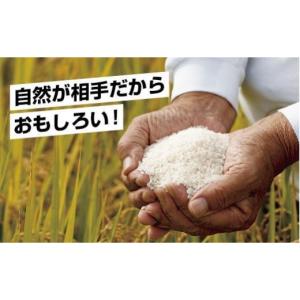 ふるさと納税 米 コシヒカリ 新潟県 南魚沼市...の詳細画像4