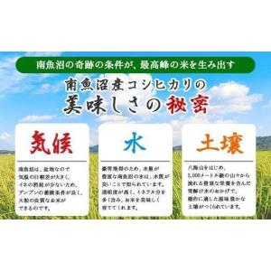 ふるさと納税 米 コシヒカリ 新潟県 南魚沼市...の詳細画像5