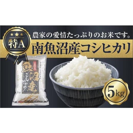 ふるさと納税 新潟県 南魚沼市 ES17 コシヒカリ 5kg 精米済み（お米の美味しい炊き方ガイド付...