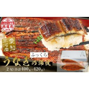 ふるさと納税 うなぎ 愛知県 西尾市 三河産 うなぎ蒲焼《超特大》2尾（400〜420g） 国産 鰻 愛知・A090-15-1 通常発送
