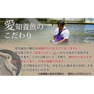 ふるさと納税 うなぎ 愛知県 西尾市 三河産 ...の詳細画像2