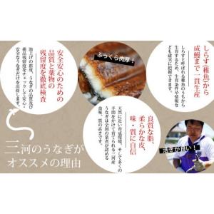 ふるさと納税 うなぎ 愛知県 西尾市 三河産 ...の詳細画像3