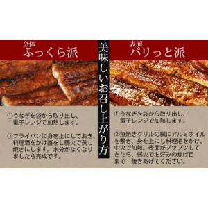 ふるさと納税 うなぎ 愛知県 西尾市 三河産 ...の詳細画像4