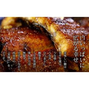 ふるさと納税 うなぎ 愛知県 西尾市 三河産 ...の詳細画像5
