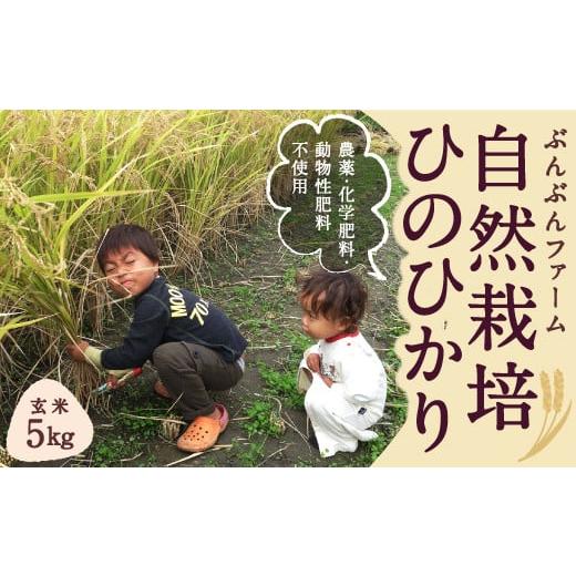 ふるさと納税 福岡県 うきは市 P439-05 ぶんぶんファーム 自然栽培 ひのひかり 玄米 5kg...