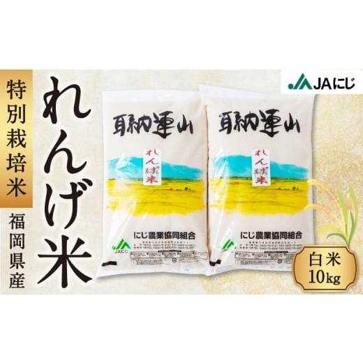 ふるさと納税 福岡県 うきは市 P443-10 JAにじ 特別栽培米「れんげ米」 白米10kg
