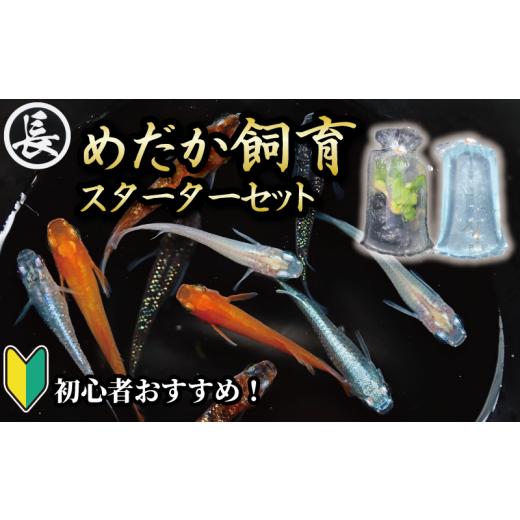 ふるさと納税 生き物 静岡県 牧之原市 めだか 飼育 スターター セット 初心者 おすすめ アクアリ...