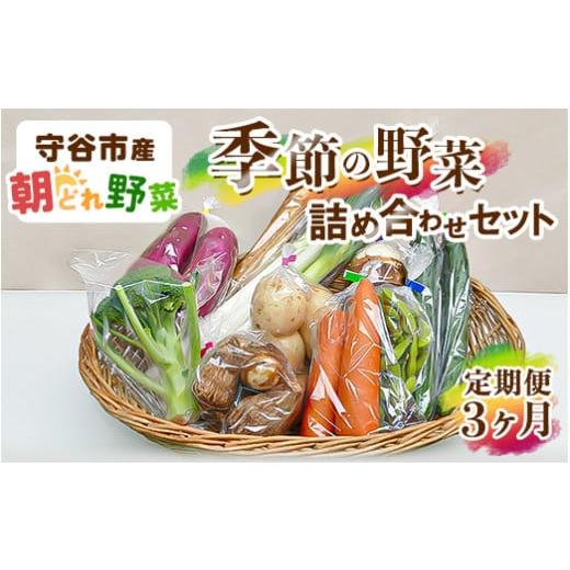 ふるさと納税 茨城県 守谷市 【定期便】季節の野菜セット定期便