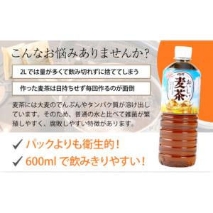 ふるさと納税 お茶類 高知県 室戸市 6回 定...の詳細画像2