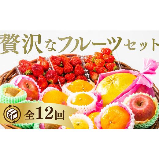 ふるさと納税 果物の詰合せ 山口県 山口市 A027 ご褒美＊フルーツ定期便（12回）