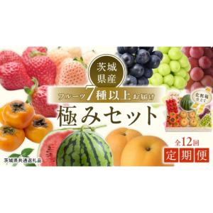 ふるさと納税 果物の詰合せ 茨城県 つくばみらい市 田舎の頑固おやじが厳選 フルーツ極み定期便セット 毎月1回1年コース(計12回) ［化粧箱入り］