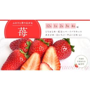 ふるさと納税 果物の詰合せ 茨城県 つくばみら...の詳細画像3