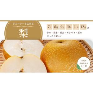 ふるさと納税 果物の詰合せ 茨城県 つくばみら...の詳細画像5