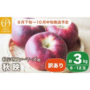 ふるさと納税 りんご 長野県 小布施町 訳あり ...の商品画像