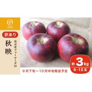 ふるさと納税 りんご 長野県 小布施町 訳あり...の詳細画像1
