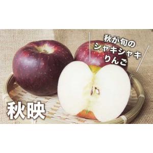 ふるさと納税 りんご 長野県 小布施町 訳あり...の詳細画像3