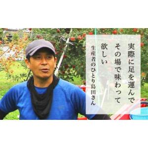 ふるさと納税 りんご 長野県 小布施町 訳あり...の詳細画像4