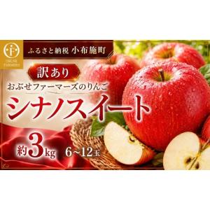 ふるさと納税 りんご 長野県 小布施町 訳あり...の詳細画像1