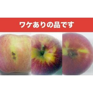ふるさと納税 りんご 長野県 小布施町 訳あり...の詳細画像2