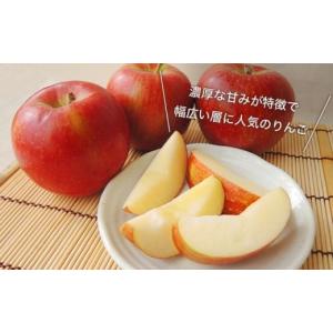 ふるさと納税 りんご 長野県 小布施町 訳あり...の詳細画像3