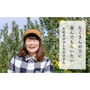ふるさと納税 りんご 長野県 小布施町 訳あり...の詳細画像4